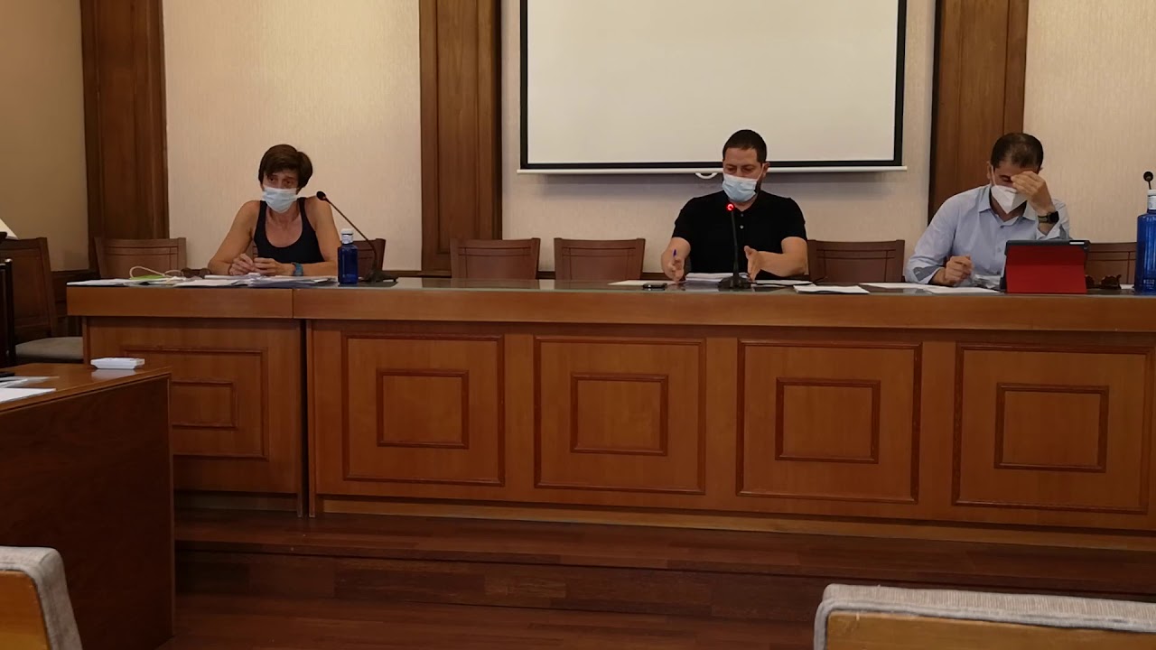 Pleno ordinario de 26 de junio de 2020