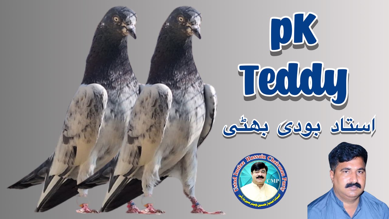 PK Teddy | Ustad Bodi Bhatti CMP | Ustad Imtiaz Hussain Chairman Party