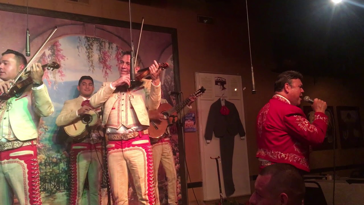 Mariachi Sol de México | Cuando El Destino