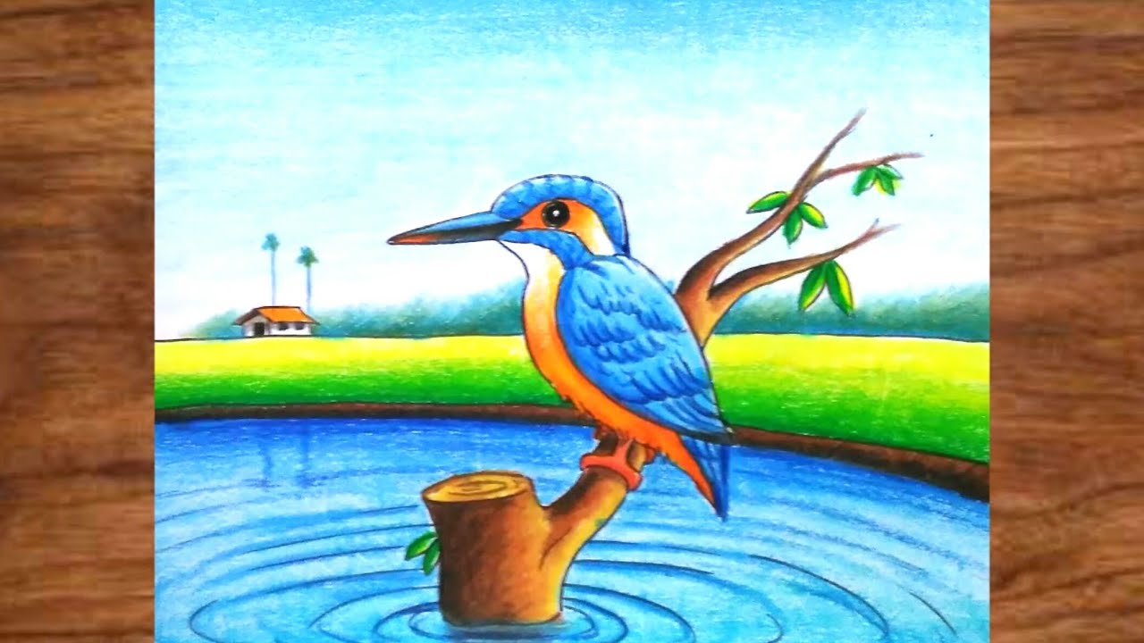 Kingfisher Bird Drawing Easy Step By Step/Kingfisher Drawing Easy with colours