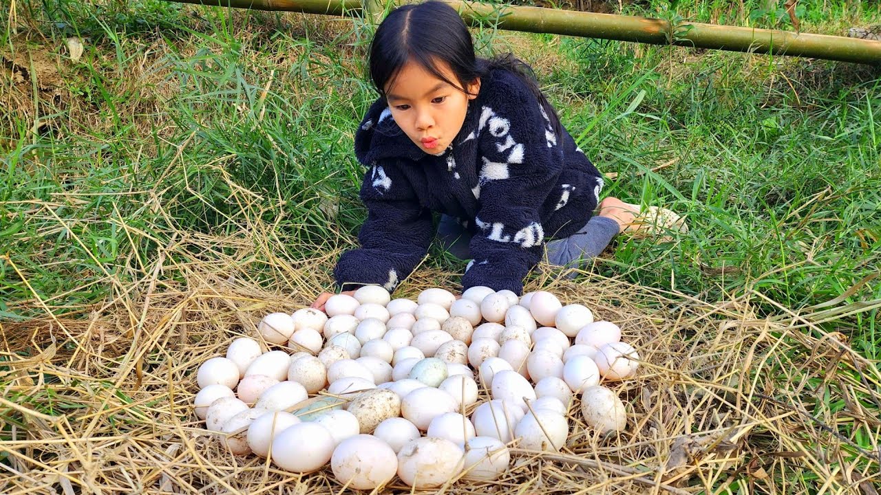 Orphan girl - Encountered a nest of eggs while wandering around looking for food - Orphan Life
