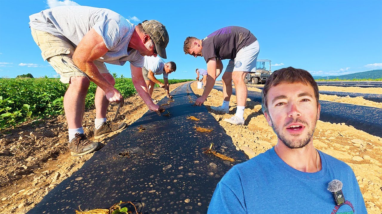 We Needed The Whole Family For This Job