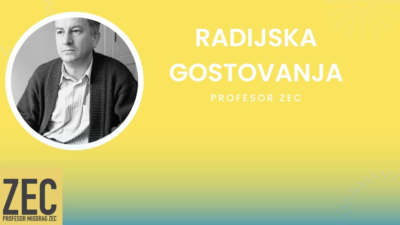 Tranziciona elita je došla da vlada, a ne da radi - profesor Zec