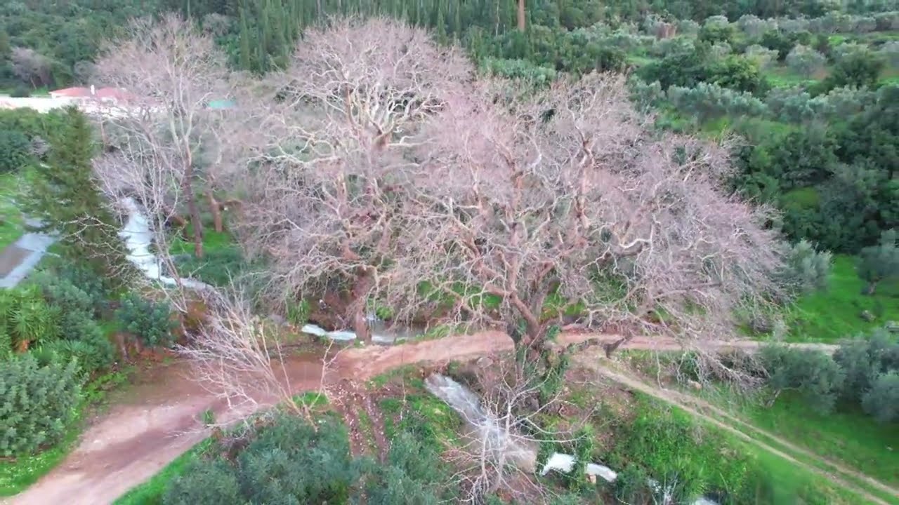 Η πηγή Μουντρούχα στο Στασιό Μεσσηνίας