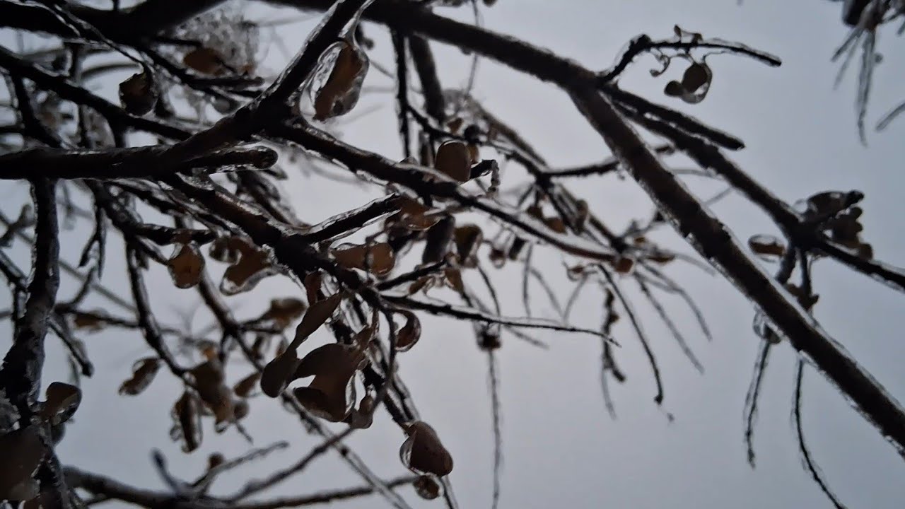Everything is Covered with Ice. #asmr tour of ice storm