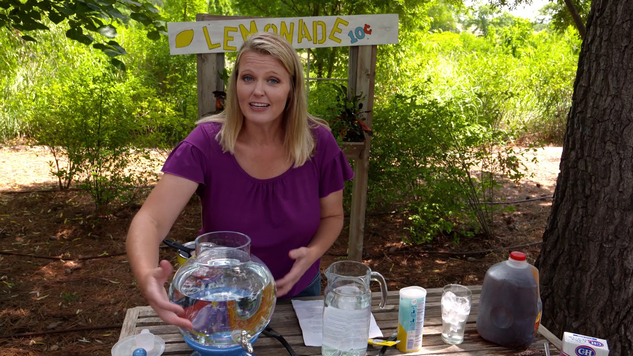 Simple Science: Compost!