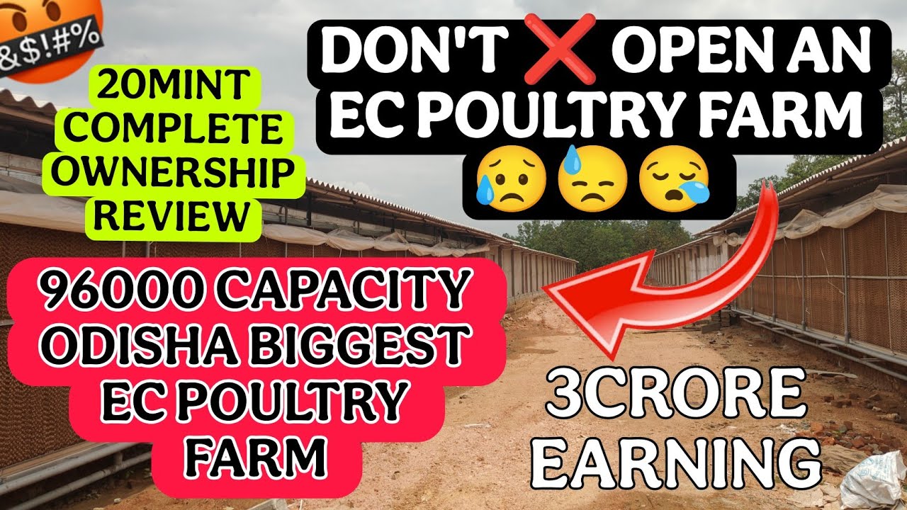Don't ❌ Open an EC Poultry Farm😓 Without Knowing Tese Facts || A Complete Video for Beginners