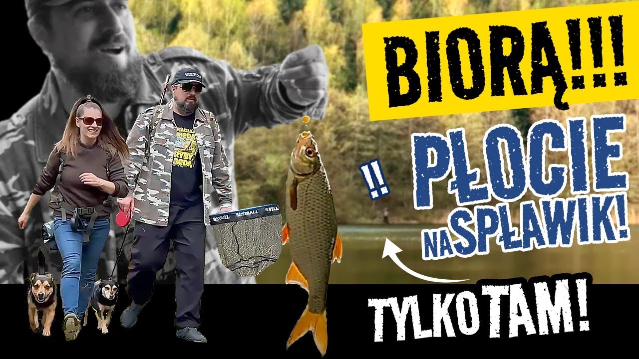 PŁOCIE na SPŁAWIK odpaliły! Branie za braniem ALE tylko TAM! Fishtrekking.