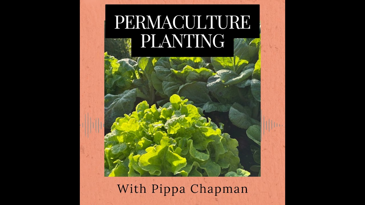 Episode 364: Permaculture Planting
