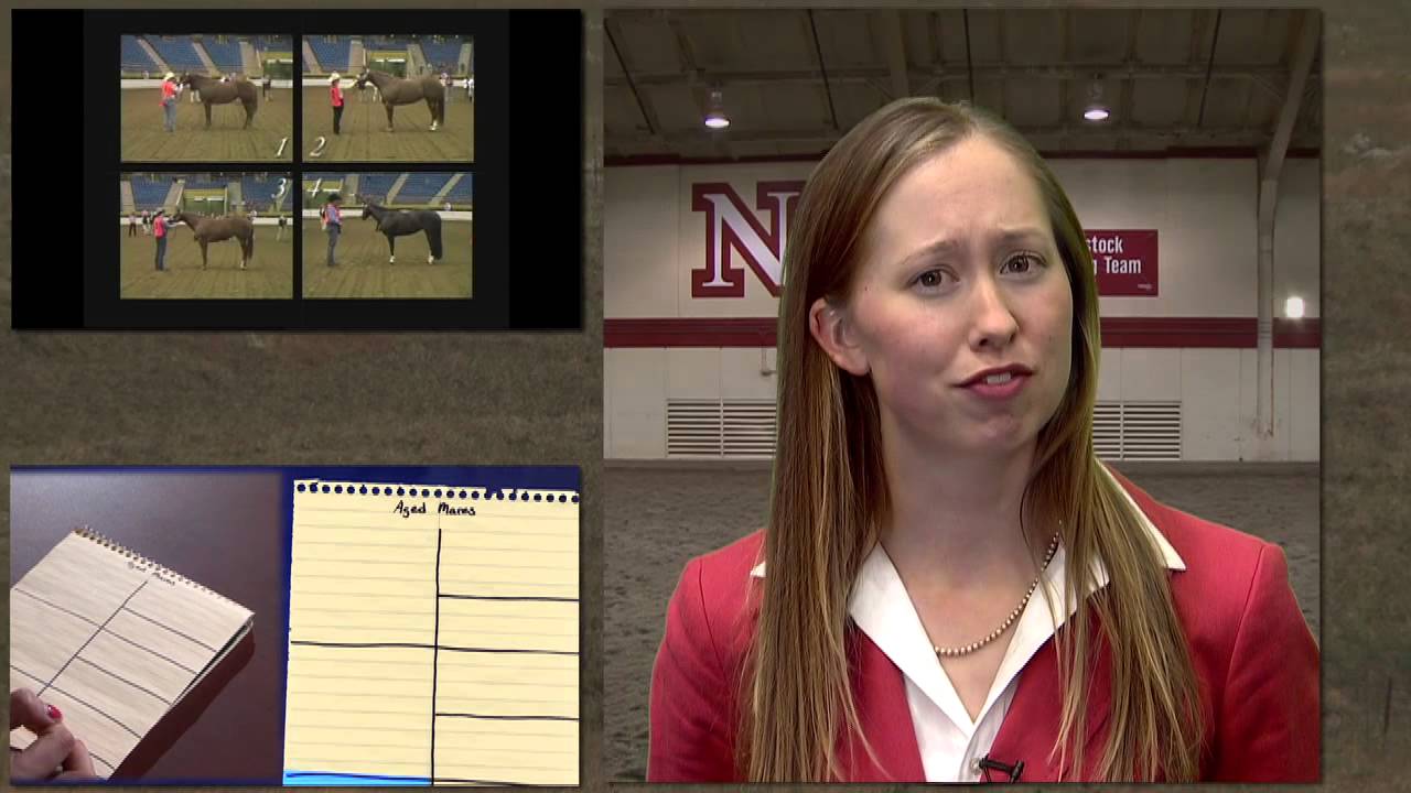 UNL Horse Judging - Presenting oral reasons for horse judging