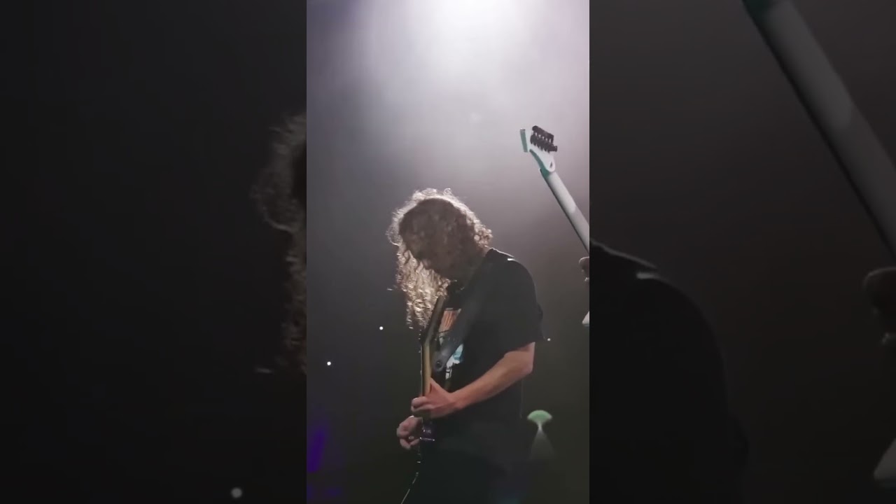 Beautiful Metallica Harmony 🎸🥲🌸
