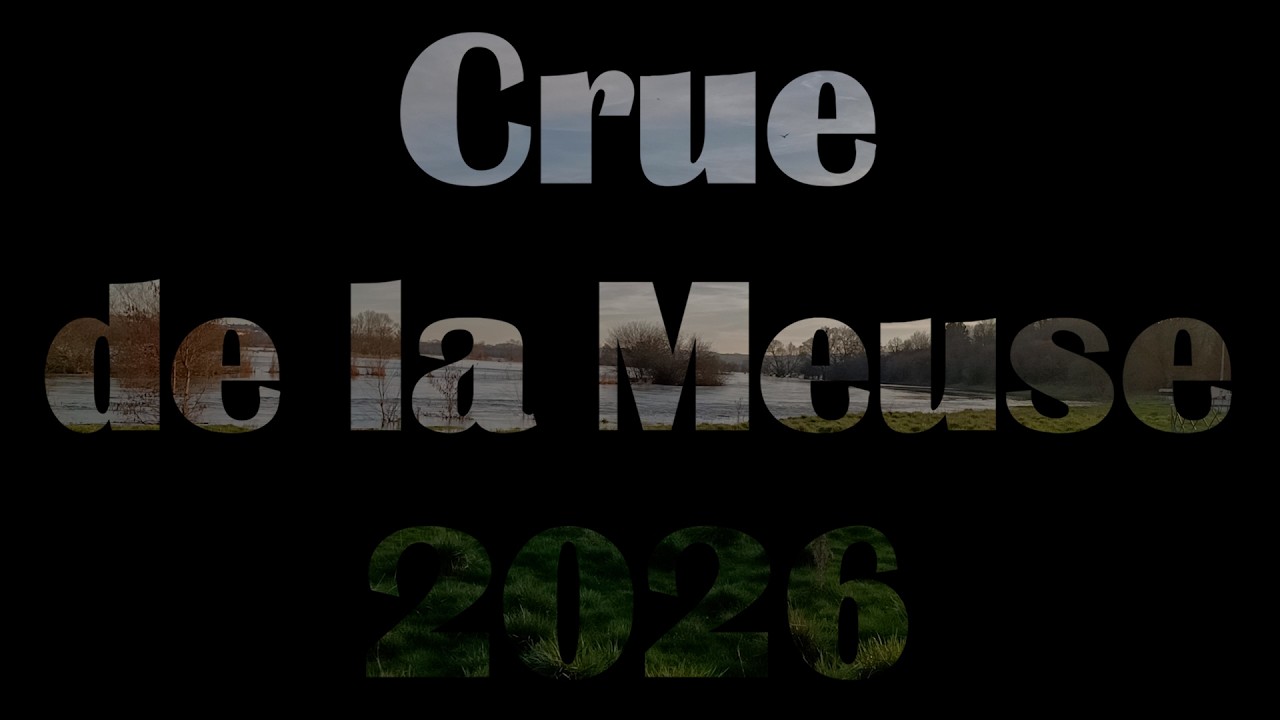 Crue de la Meuse de février 2026