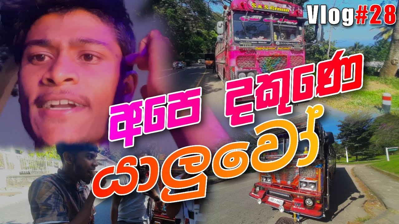 දකුණෙ යාලුවෝ 😍 | @kasiyabro #kasiyabro #travel #viral #srilanka #trending