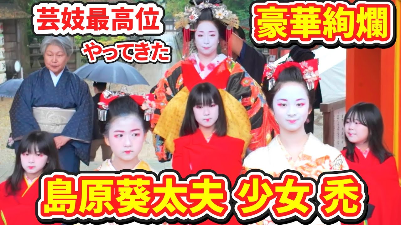 【激レア】芸妓最高位の島原葵太夫現る 少女禿 石清水八幡宮奉納行事 | kyoto japan