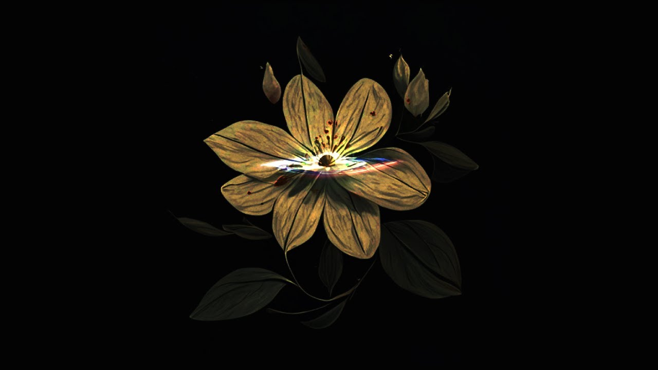 Jasmin