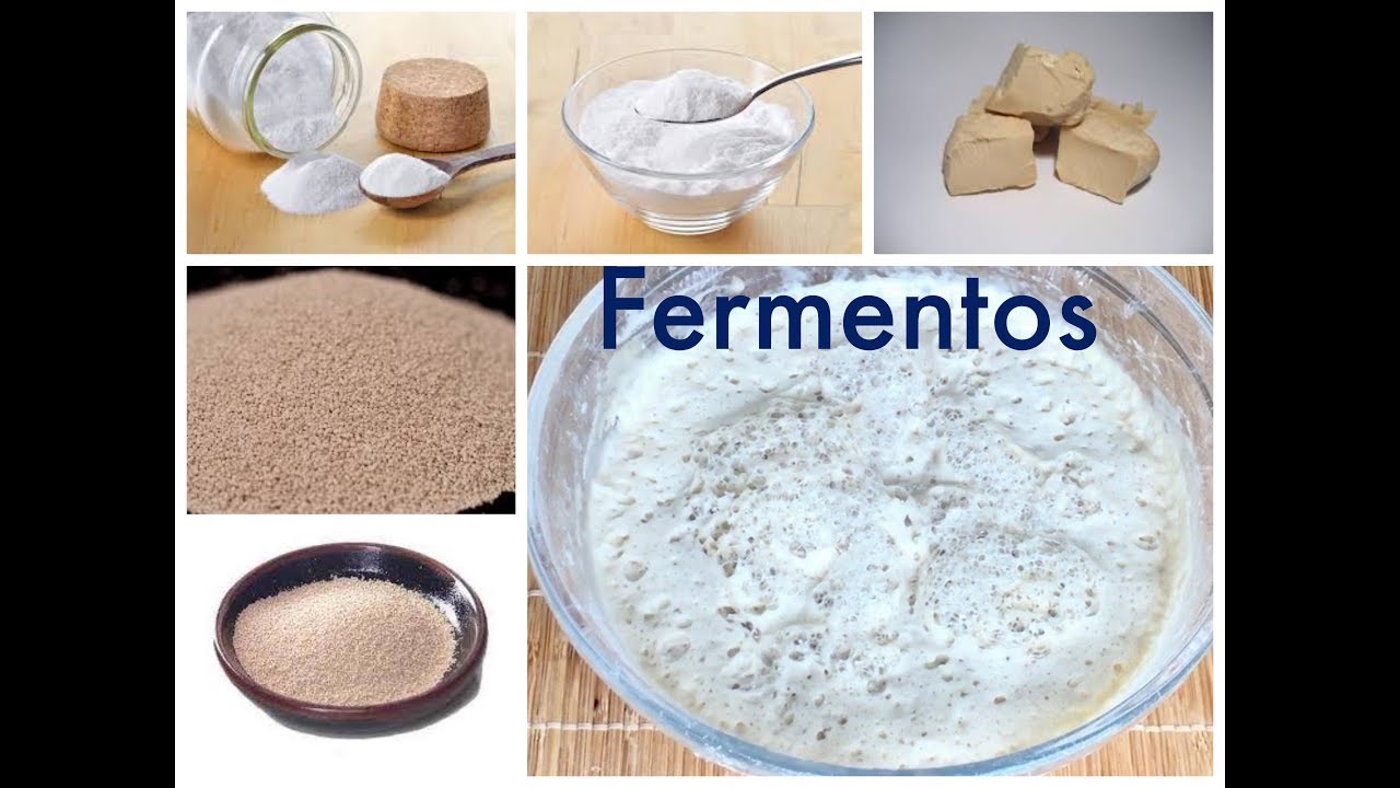 35 Tipos de Fermentos
