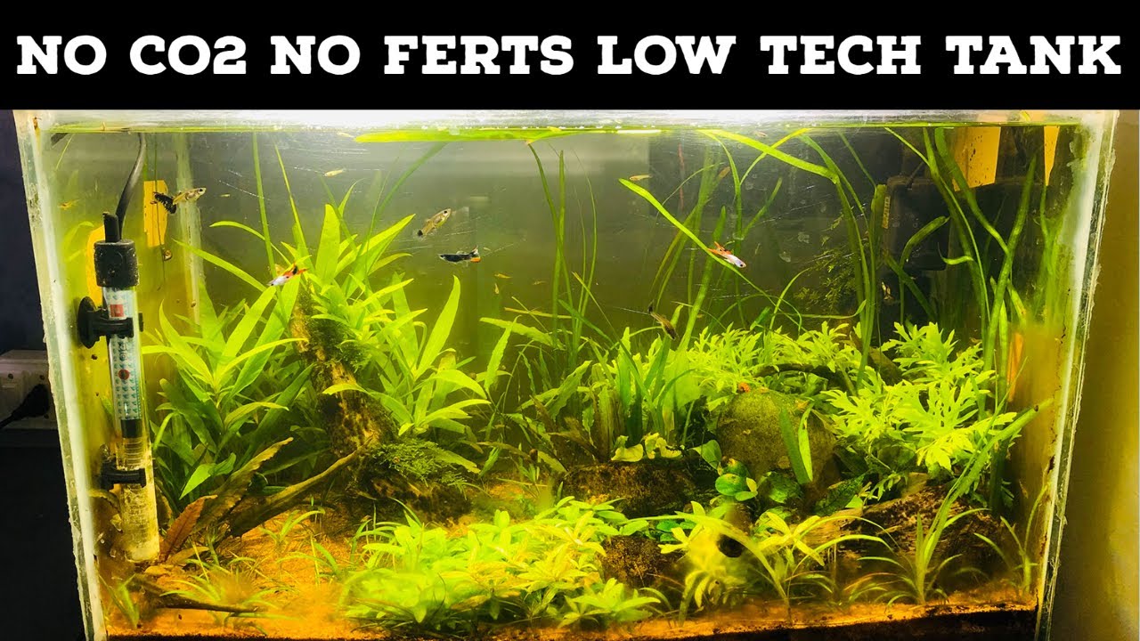 How to Set Up Planted Aquarium for Beginners Without CO2 | Best Cheap Substrate | Old Tank Rescaped