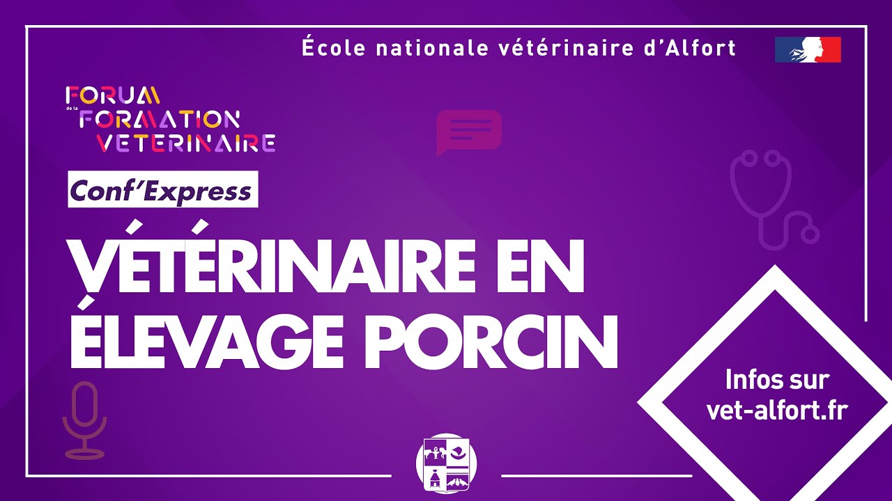 FFVET22 - Conf' express - Vétérinaire filière porcine