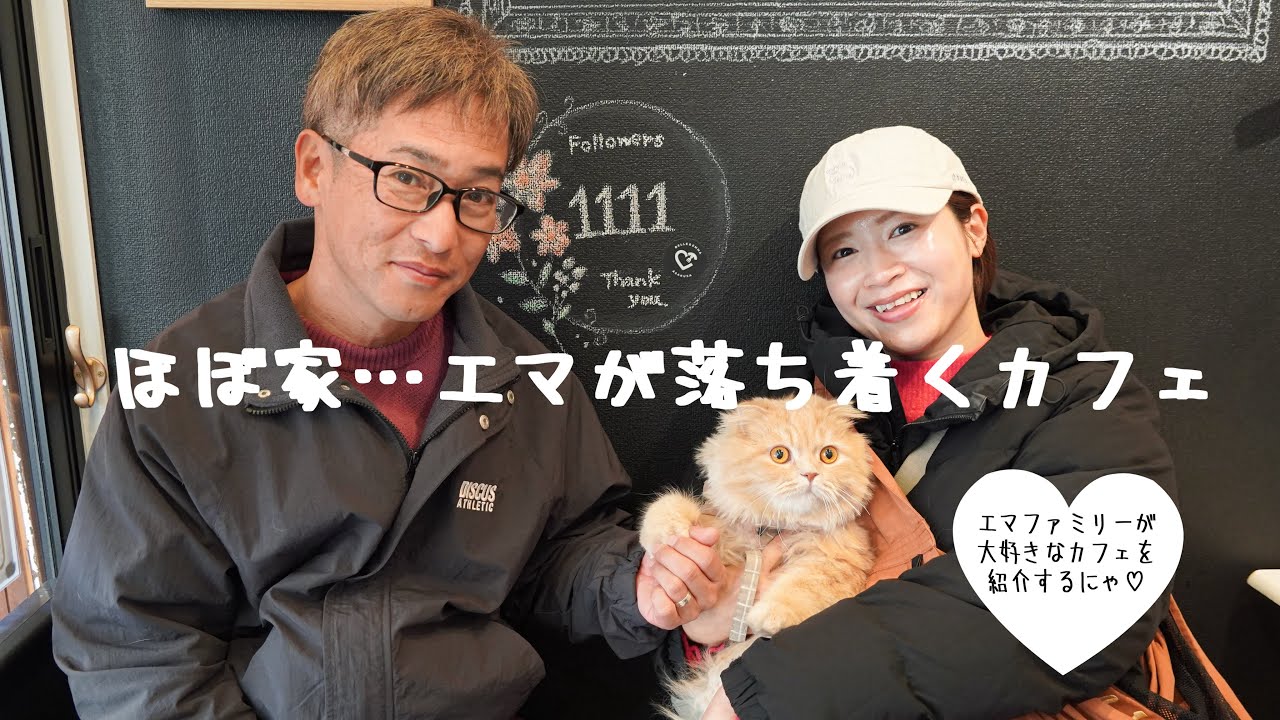 【家族Vlog】愛猫と夫婦で通う、浅草のカフェ｜BELLE＆EMMA