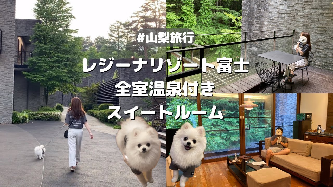 【レジーナリゾート富士】愛犬と泊まれる宿|離れのスイートルーム|旅行Vlog|ポメラニアン