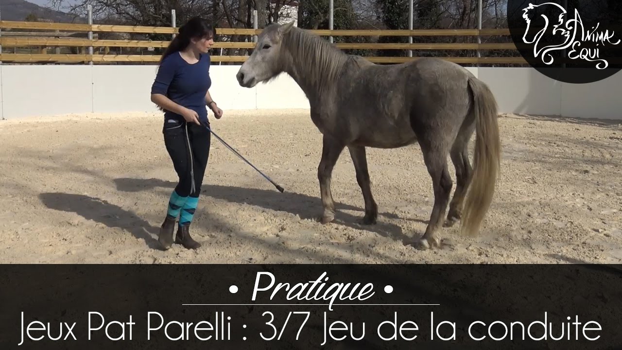 • PRATIQUE • Jeux Pat Parelli : 3/7 Jeu de la conduite