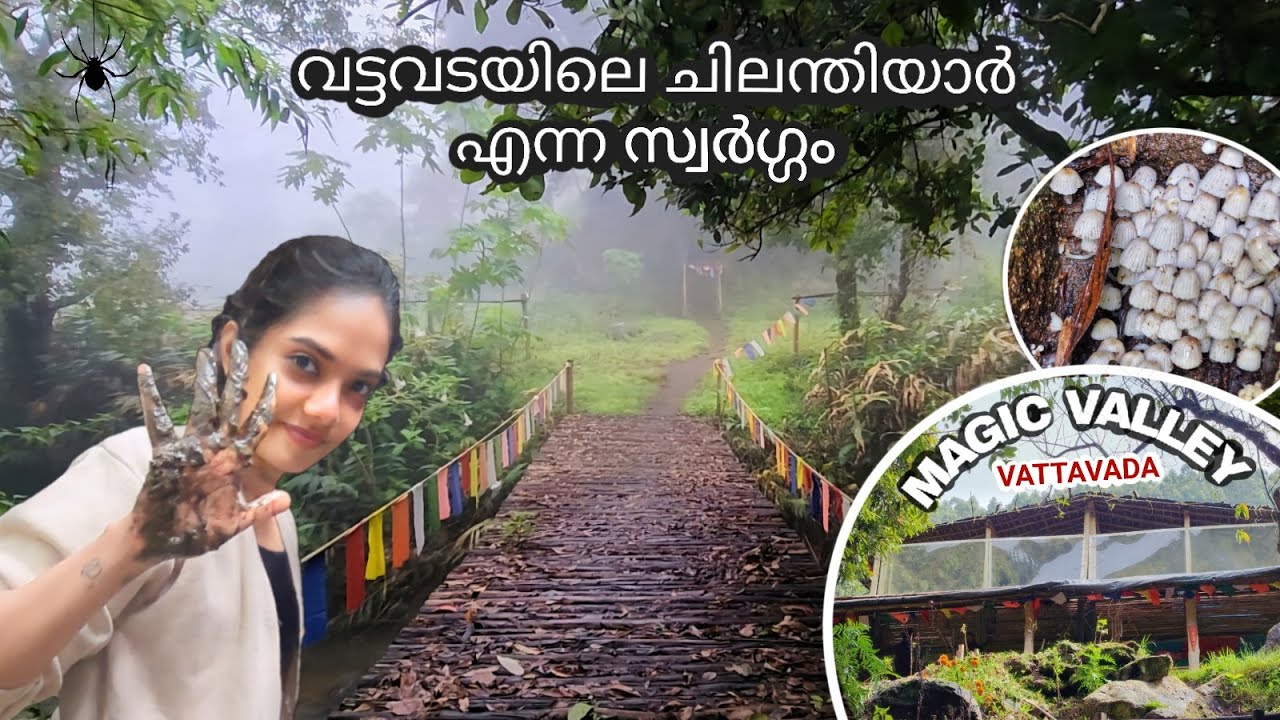 Magic Valley | Vattavada| റിസർവ്ഡ് ഫോറസ്റ്റിന് അടുത്ത് ഇങ്ങനെ ഒരു ക്യാമ്പ്! Camping | 4K #yt