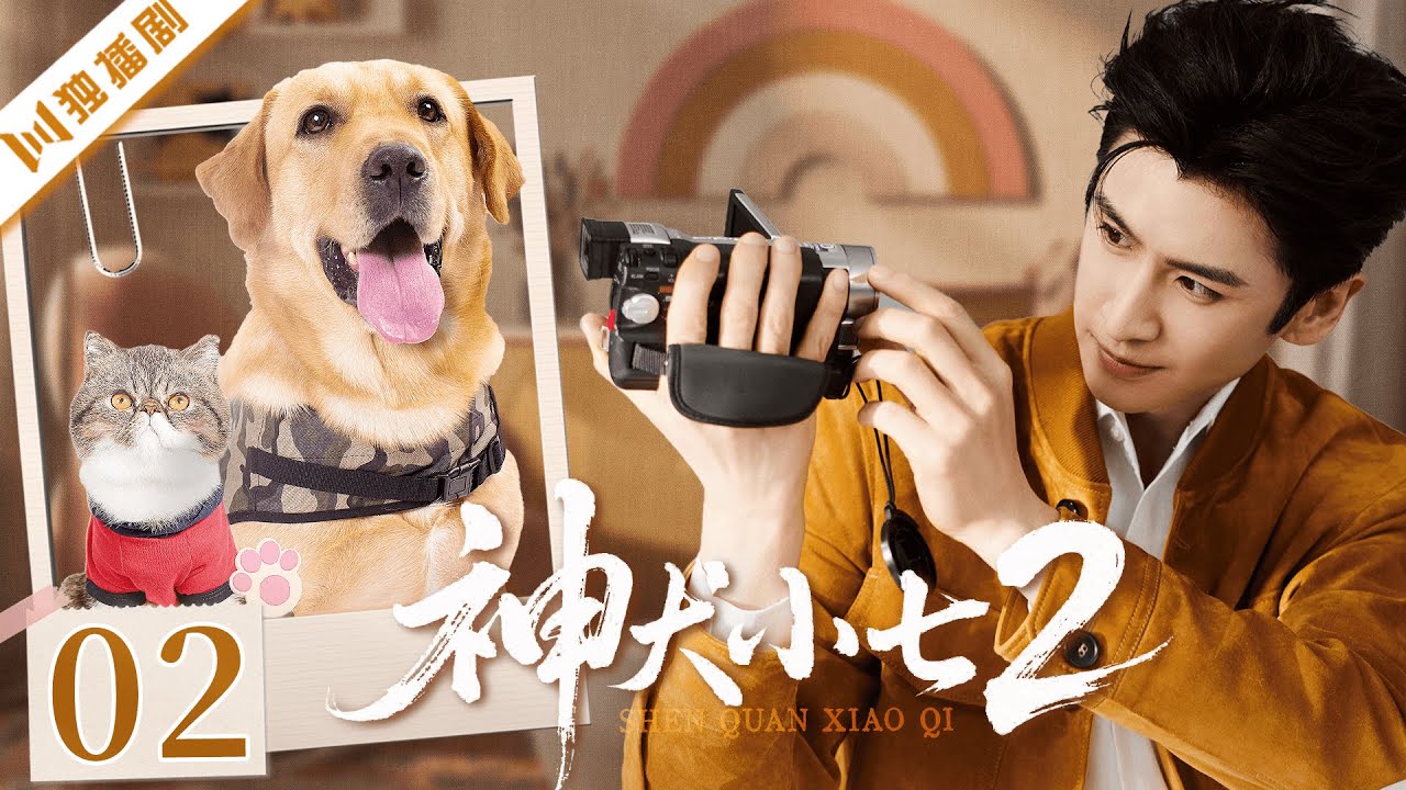 ENG【FULL】EP02 神犬小七第二季Hero dogⅡ | 💗解锁超甜恋爱副本! #言情 #甜宠 #偶像剧 #kiss #love