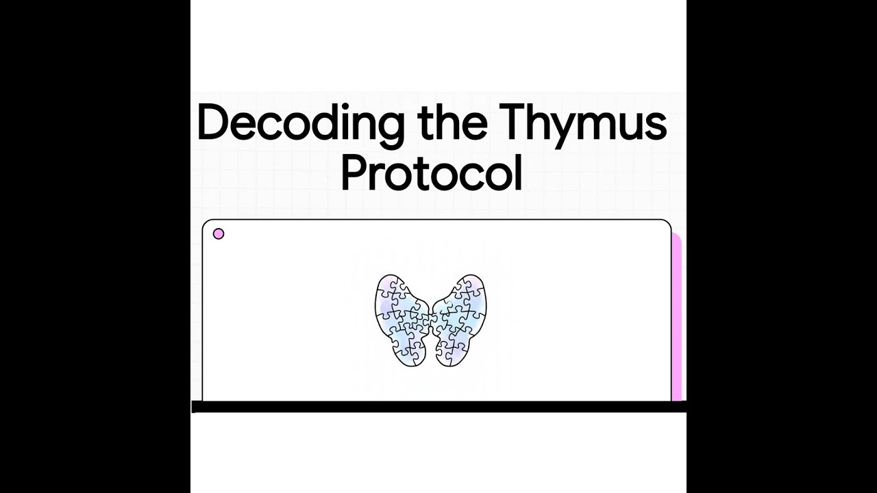 Decoding the Thymus Protocol