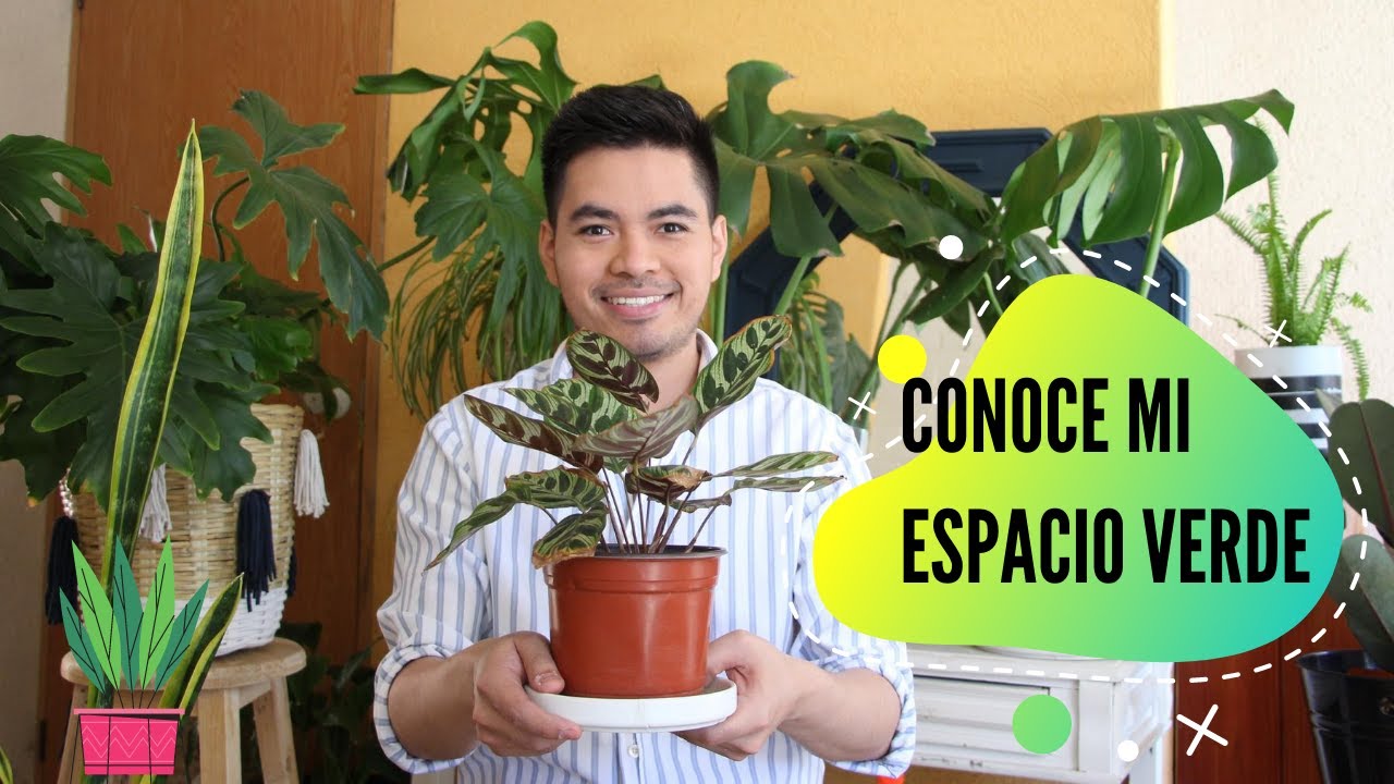 Un recorrido por mi espacio verde