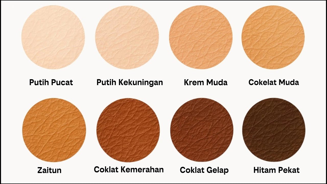 Semua Warna Kulit Manusia Dijelaskan!!