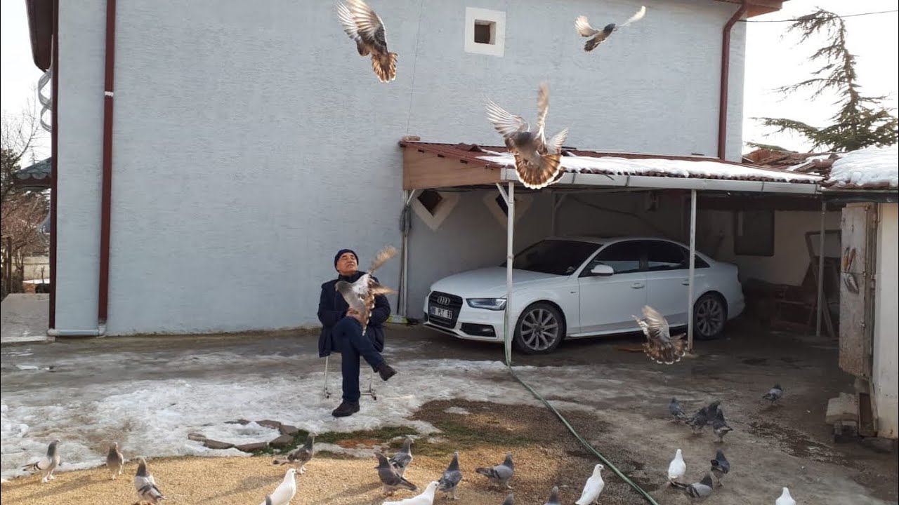 DÜNYAYA ÜN SALMIŞ MEŞHUR GÜVERCİNLER (PİLOTLAR)KİMDİR?ÖĞRENMEYE GELDİK ABDULKADİR ÇELİK(PİLOT KADİR)