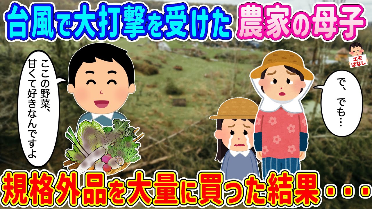 【2ch馴れ初め】台風で大打撃を受けた農家の母子から、規格外品を大量に買った結果…【伝説のスレ】