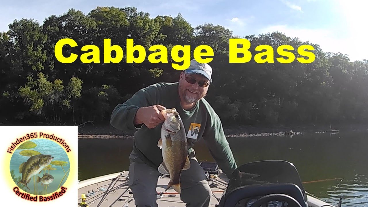 Cabbage Patch Bass Fishing Ft Lake Wallenpaupack
