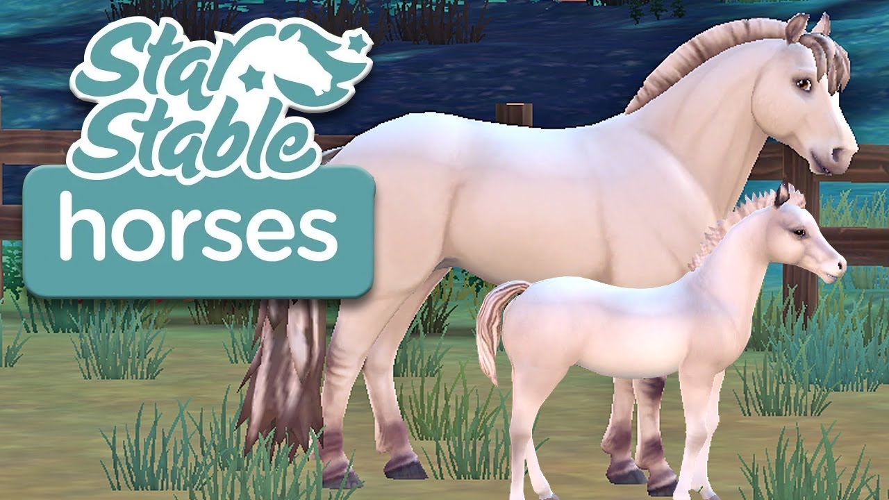 Raising a Fjord Foal! | Star Stable Horses App