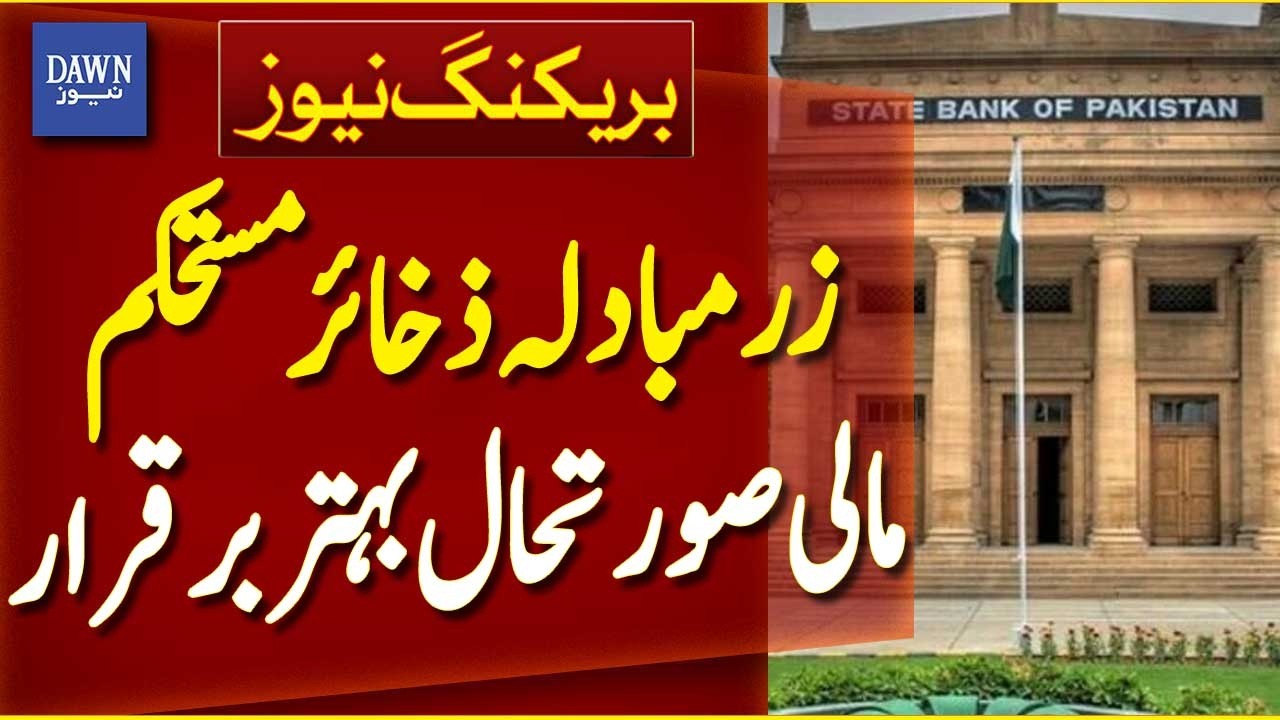 Pakistan Forex Reserves Stable | Despite Heavy Payments | Economic Update - Breaking News Dawn News