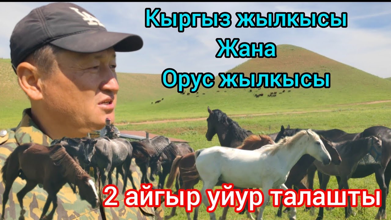 Мырзакул ажы авабыздын дыйканчылык чарбасы