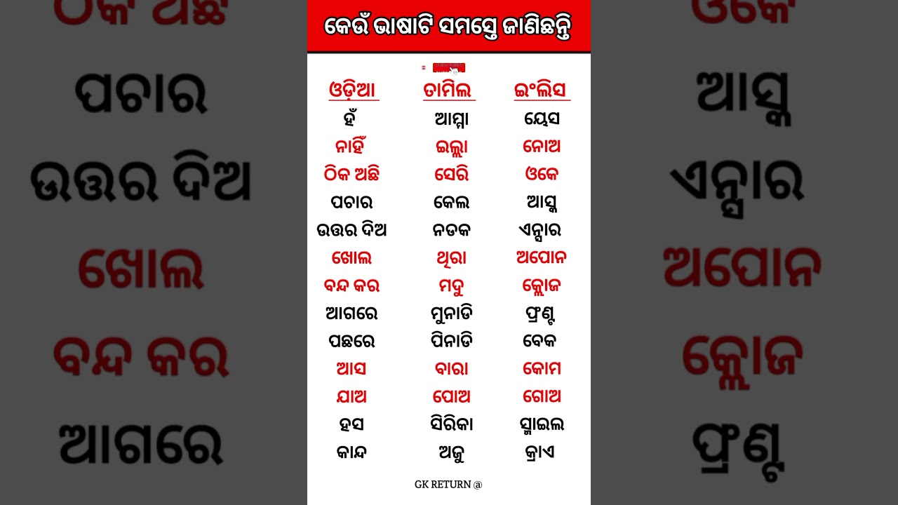 Odia + English + Tamil Translation #trendingshorts #viralshorts #shorts #youtubeshorts