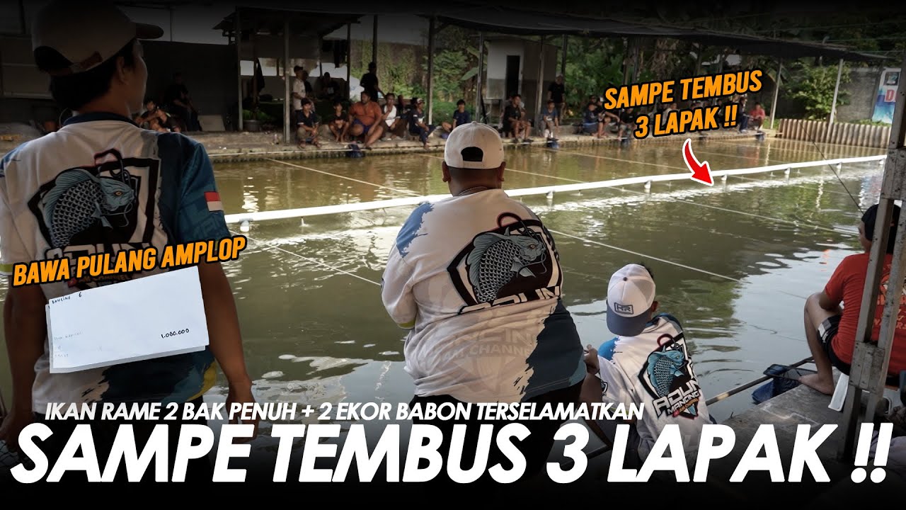 SATU EMPANG PADA TERIAKIN GEMBUL !! 2 BAK PENUH IKAN RAME + 2 BABON BAWA PULANG AMPLOP || Am#651