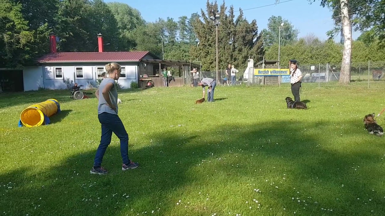Gruppentraining auf unserem kleinen Platz