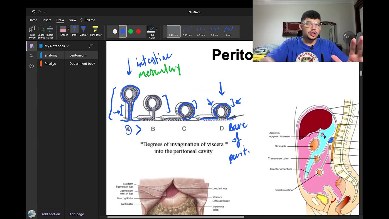 Peritoneum 1 [GIT] MTI