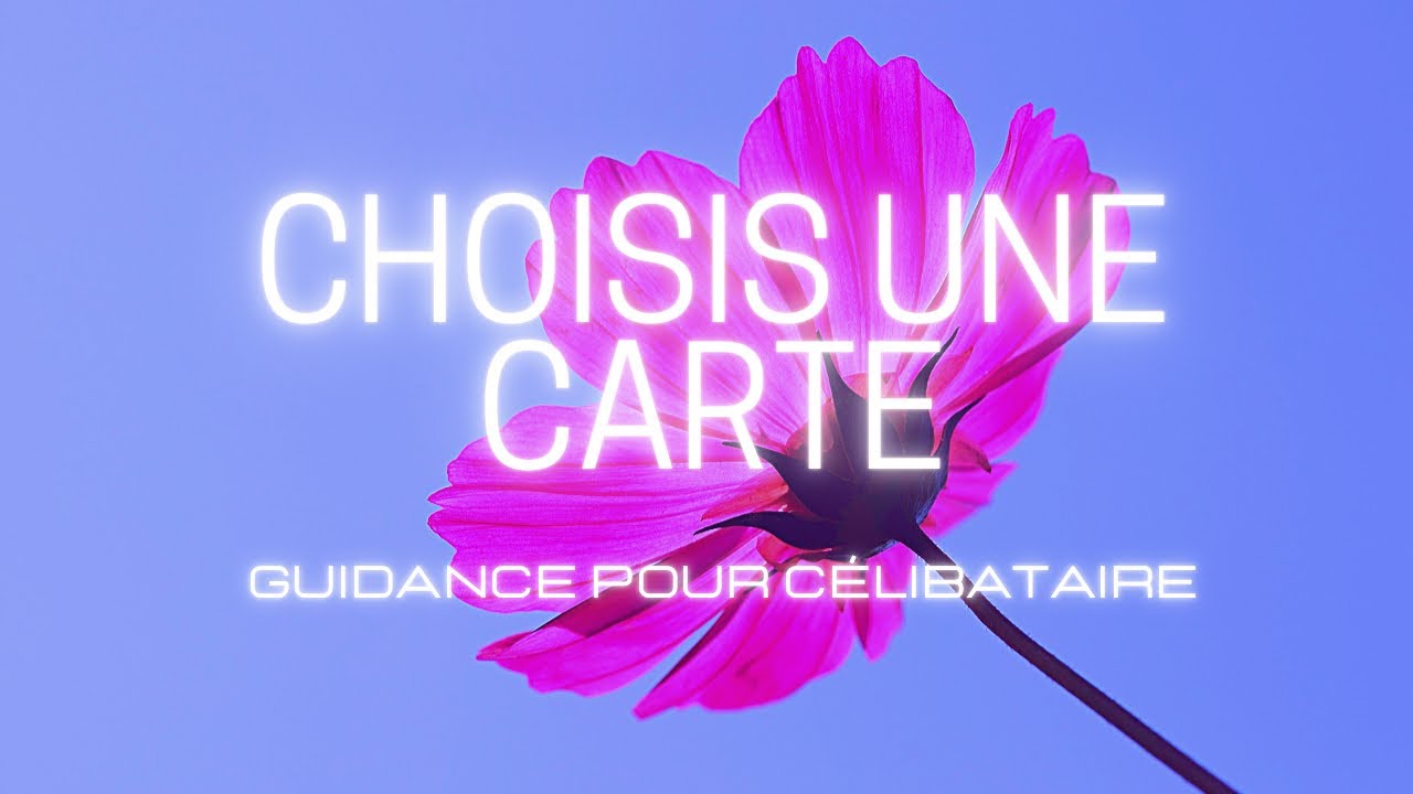 Guidance pour les Célibataires 💕  Votre prochaine rencontre amoureuse 🌺 3 CHOIX