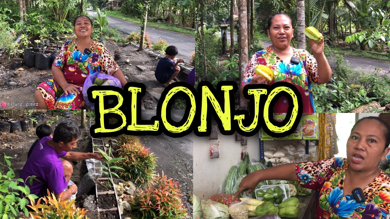 BLONJO SAYUR SEMANGAT MASAK || PANEN BUAH⁉️