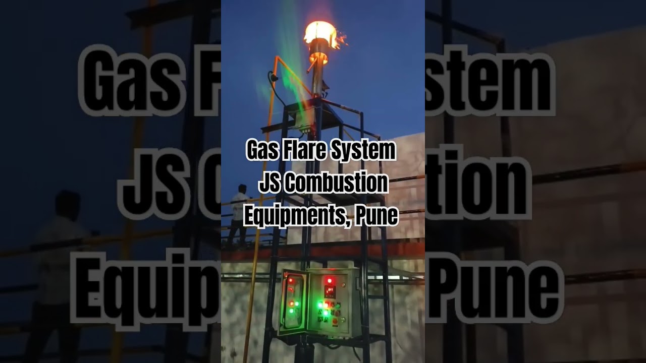 Gas Flare System