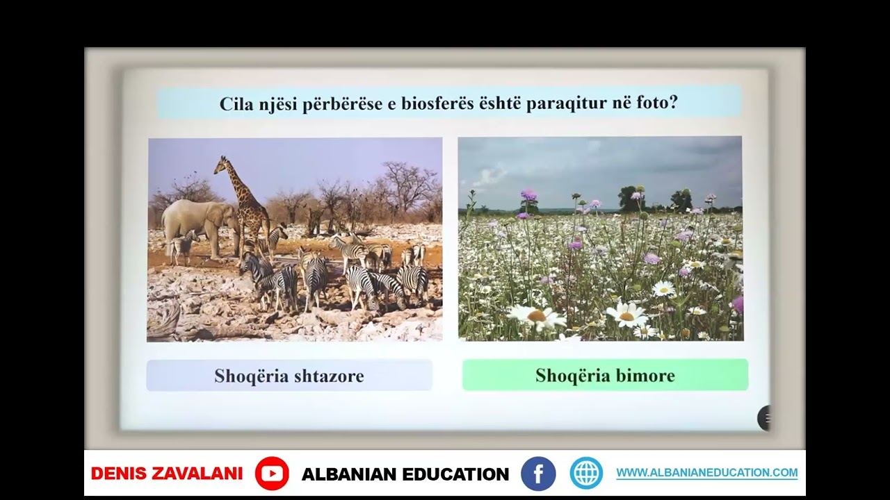 6 06 022 Java e njëmbëdhjetë Biologji biosfera dhe njësitë që e përbëjnë atë perseri