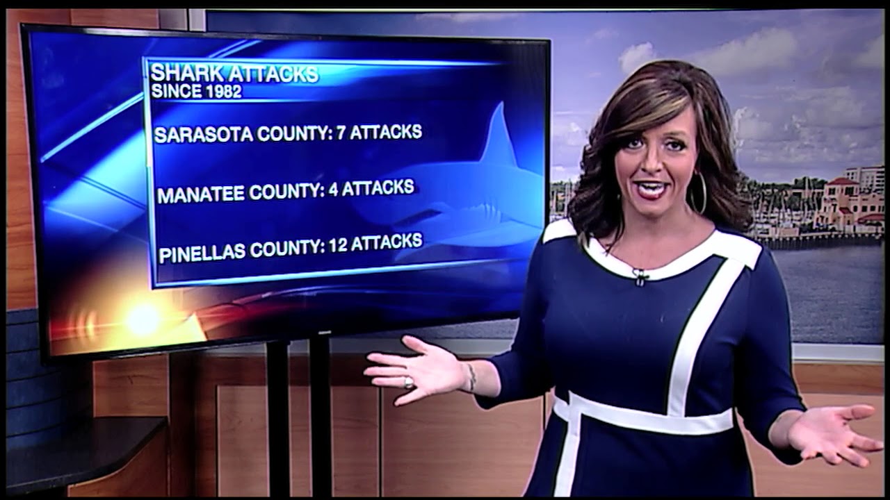 Video: Shark Attack Numbers Noon June 18,2018