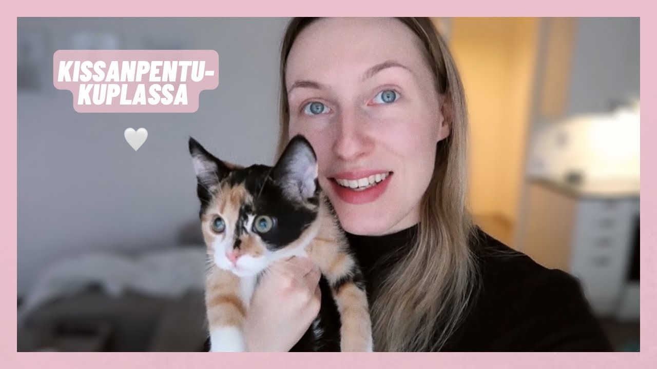 Haetaan kissanpentu kotiin😍🐱| vlogi