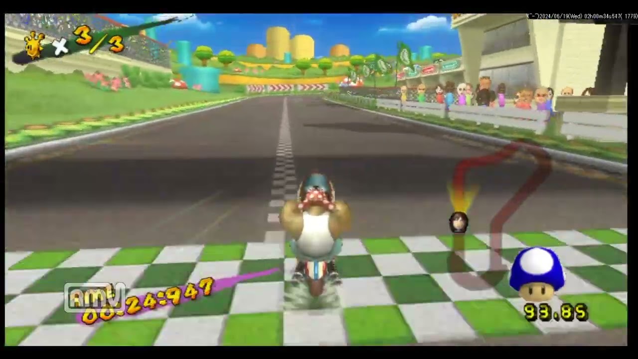 AmaRecCO Dolphin Test