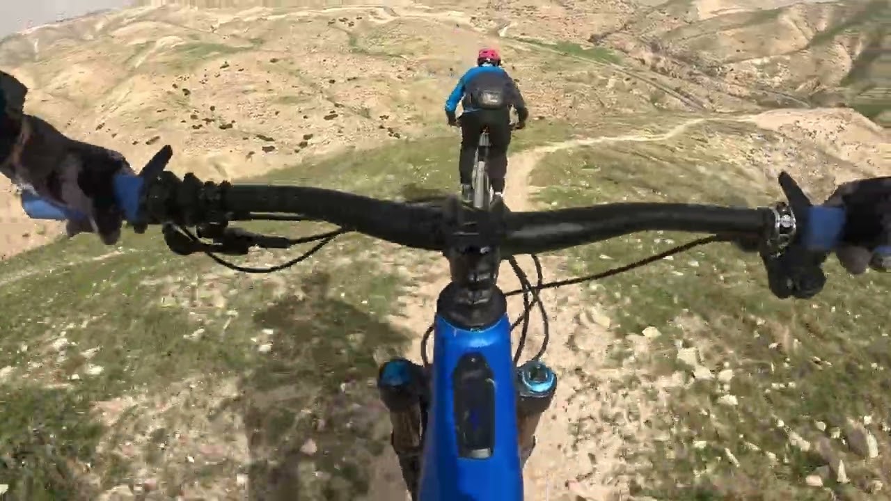 קלט עם חיימון