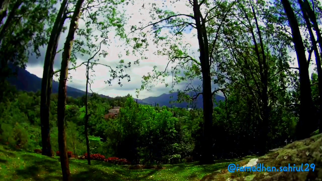 Timelapse BPRO 5 ALPHA PLUS