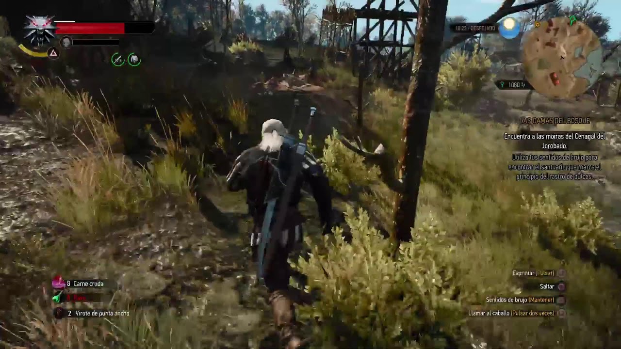 The Witcher 3🔥Continuo la historia